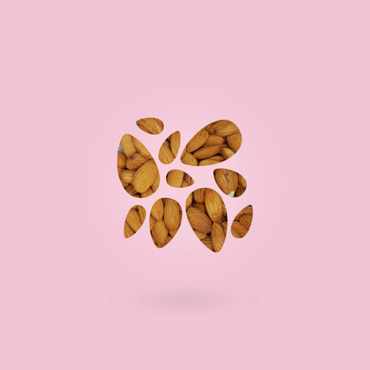 Fragancias Concentradas para Velas Artesanales | Esencias Aromáticas de Alta Duración - Aike Store